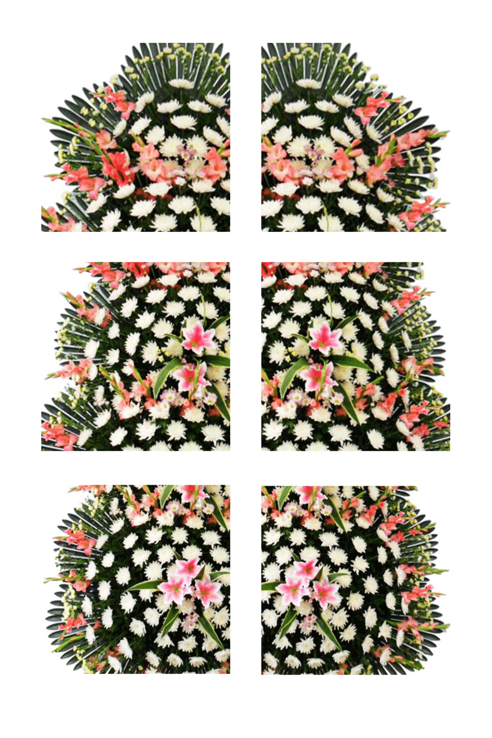a6aec839b72c186cd035eccb4e86acfe_1736747645_229.png