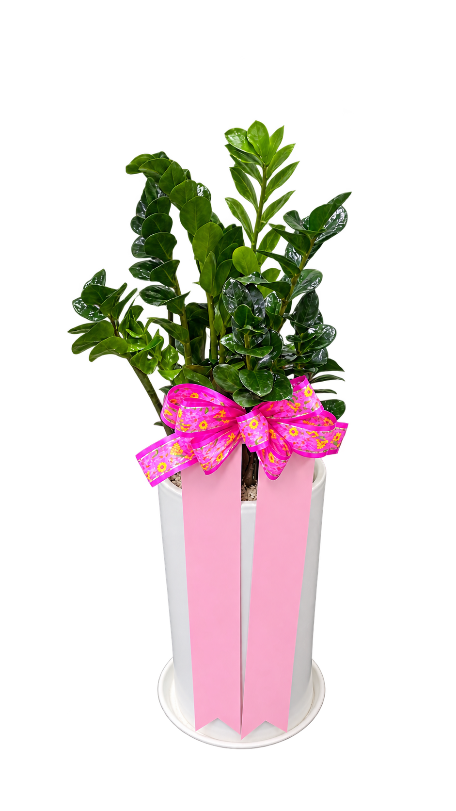 d6543279eb11a4825fa430530d8002bf_1788936456_8528.png