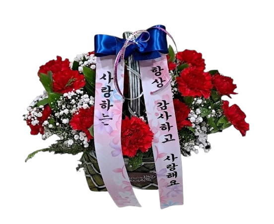 [바구니-999]카네이션 바구니-레드