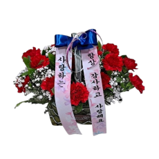 [바구니-999]카네이션 바구니-레드